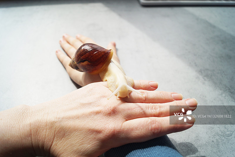 蜗牛爬上手图片素材