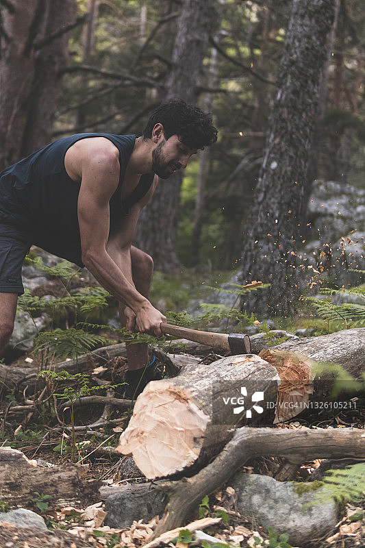 年轻男子在森林里用斧头砍伐倒下的树干图片素材
