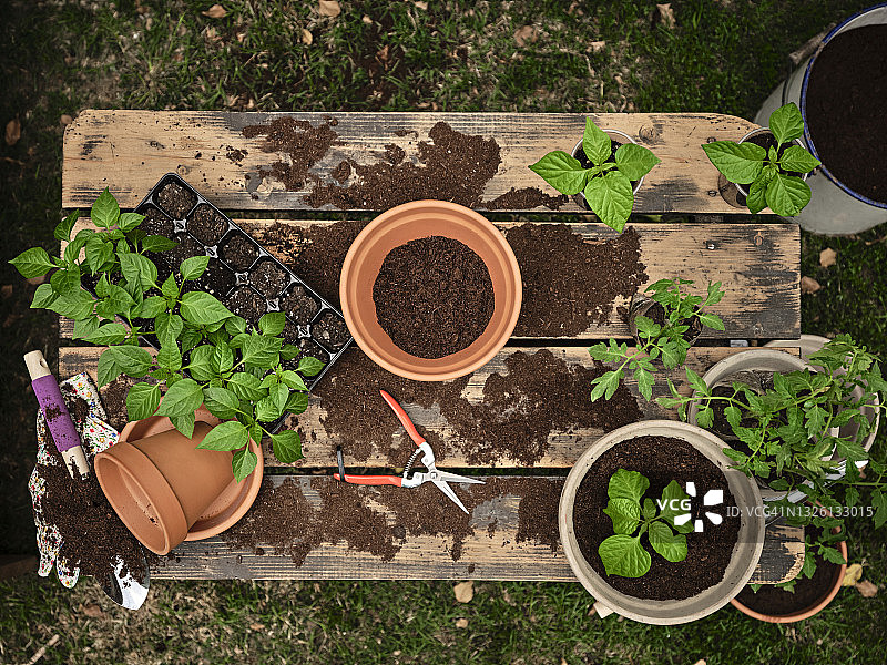 花园餐桌上的花盆、幼苗盘和植物图片素材