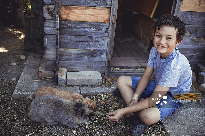 微笑的男孩在后院喂兔子图片素材