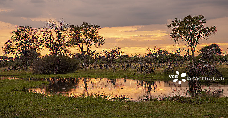 博茨瓦纳奥卡万戈三角洲的日落图片素材