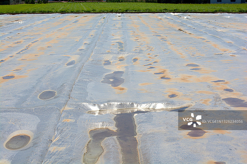 农业中使用塑料进行土壤消毒图片素材