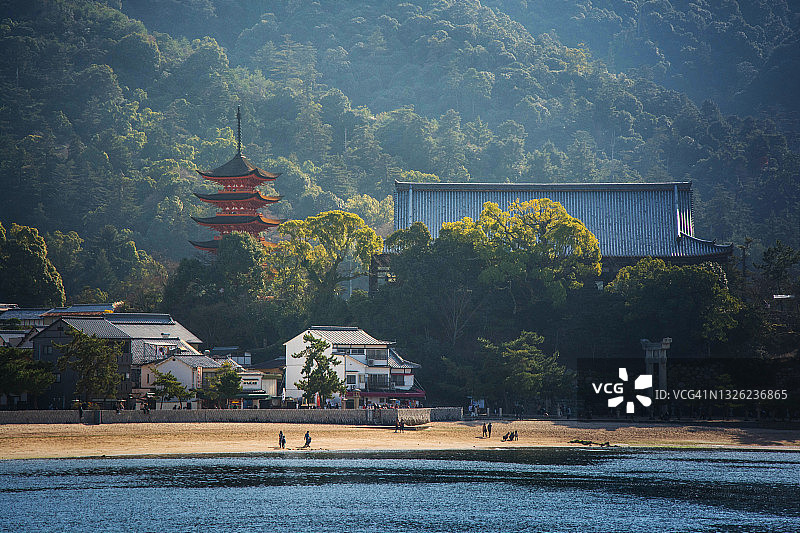 日本广岛县宫岛的红色鸟居图片素材
