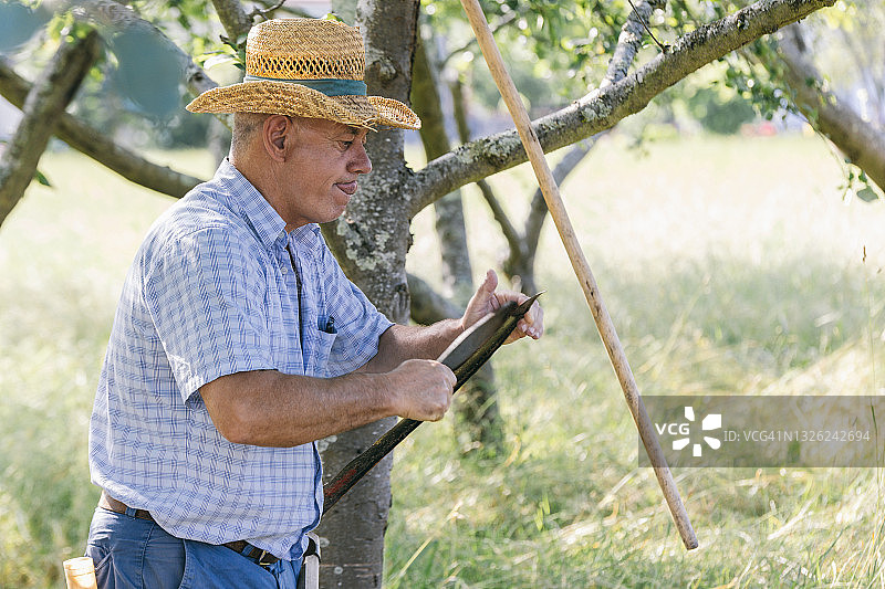 农民磨镰刀割草图片素材