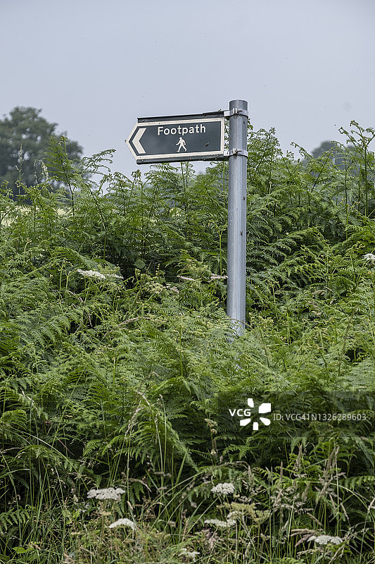 公共人行道指示牌图片素材