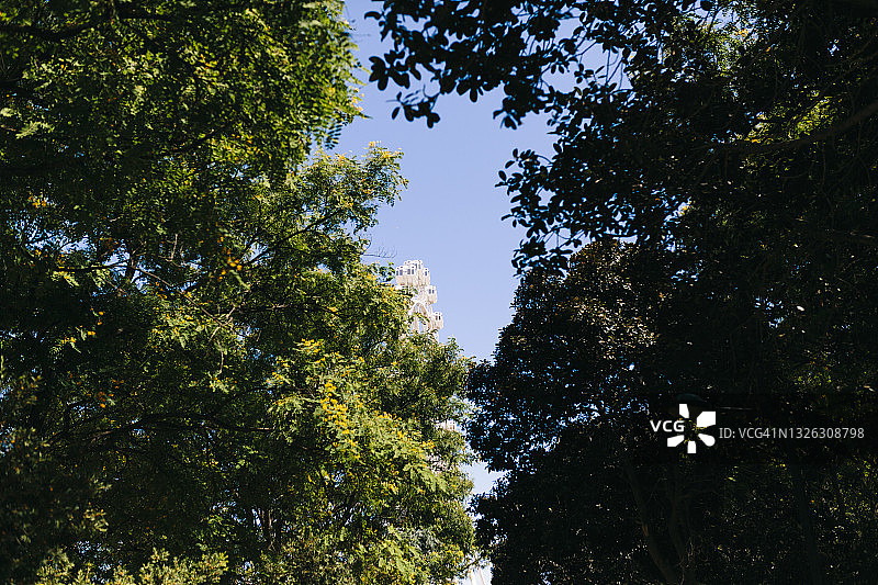 摩天轮图片素材