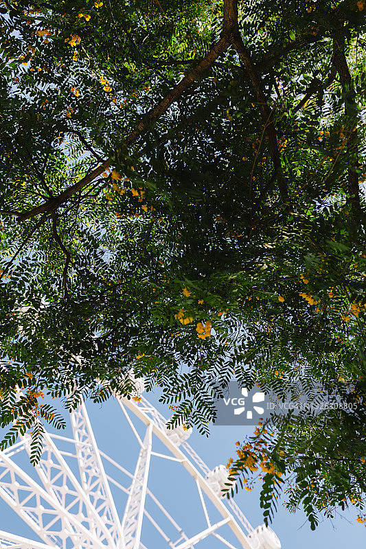 摩天轮图片素材