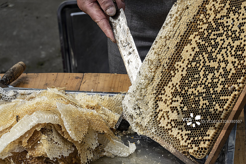 农民从木板上切割人工饲养的蜂箱图片素材