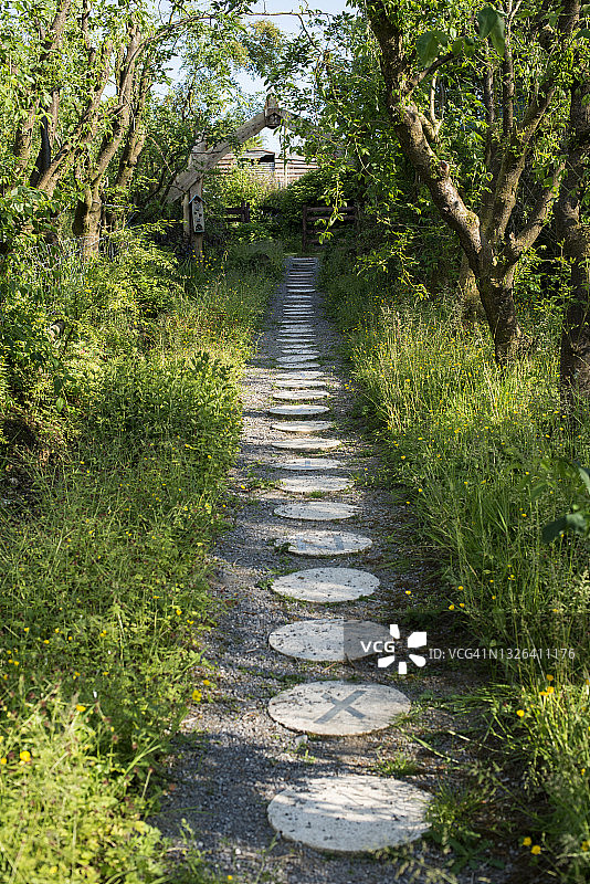 露营地小路上的圆形石阶图片素材