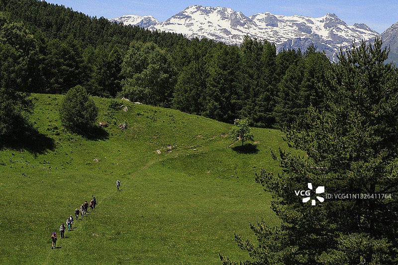 意大利皮埃蒙特阳光明媚的草地山谷小径上的徒步者图片素材