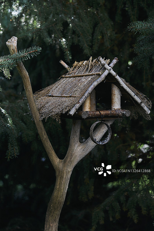 树枝上的乡村风格鸟舍图片素材