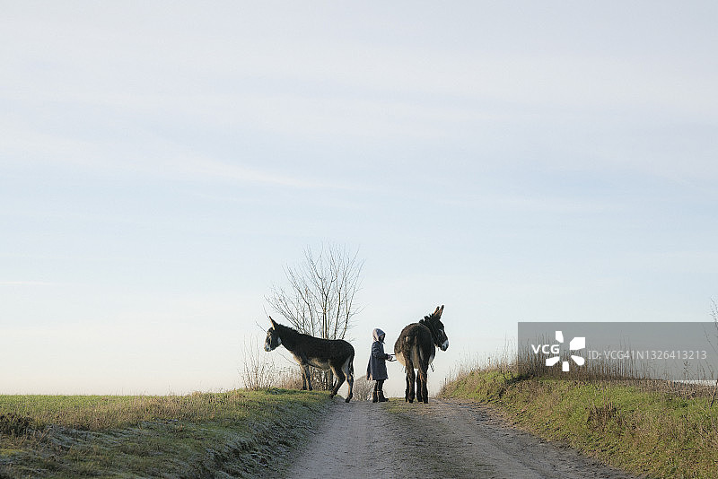 女孩和驴在乡村道路上图片素材
