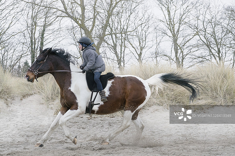 女孩骑着飞奔的骏马在沙滩上图片素材
