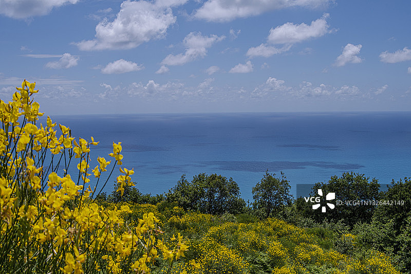 金内斯特拉海景图片素材