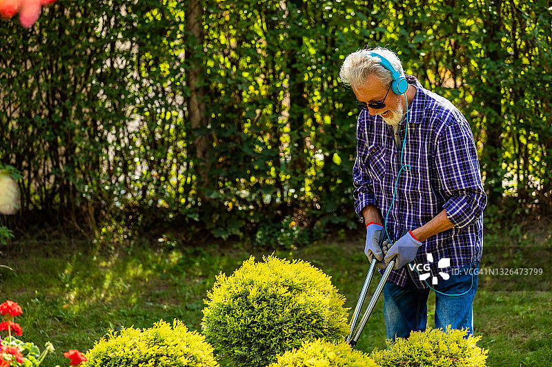 给妻子剪花图片素材