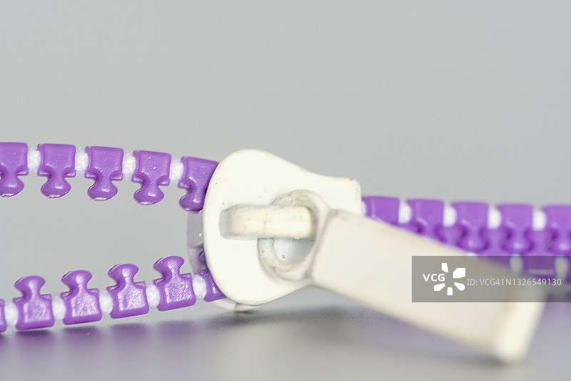 紫色和白色拉链，部分拉开，灰色背景图片素材