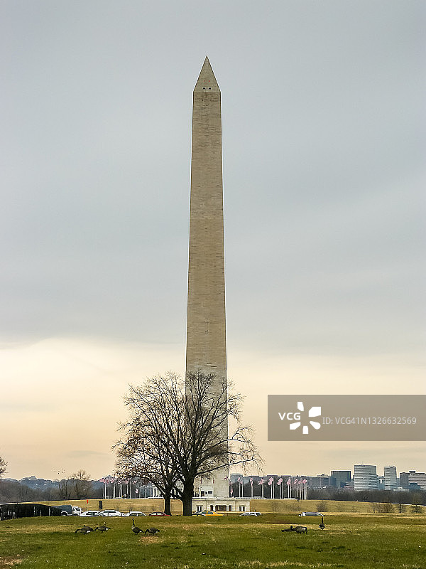 华盛顿纪念碑图片素材