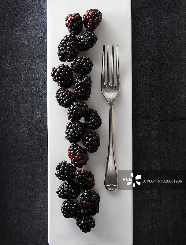 时令黑莓图片素材