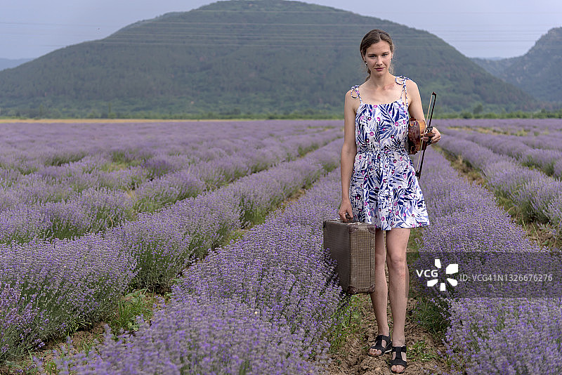 在薰衣草田里有魅力的女小提琴家图片素材