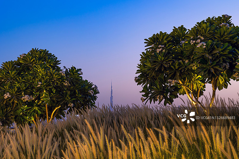 迪拜城市夜景：从迪拜河港区眺望图片素材