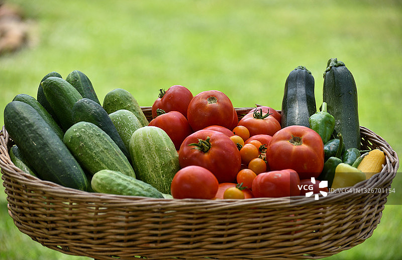 装满新鲜蔬菜的彩色篮子图片素材