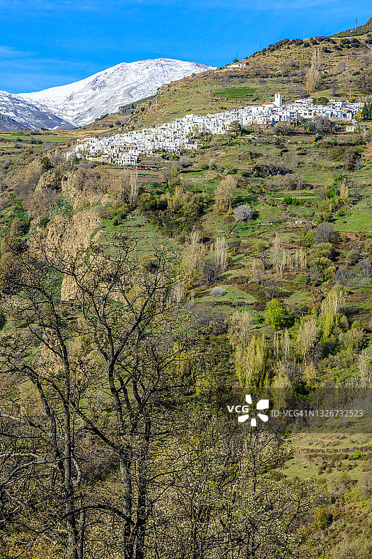 徒步前往特雷韦莱斯时看到的卡皮莱拉景色，安达卢西亚图片素材