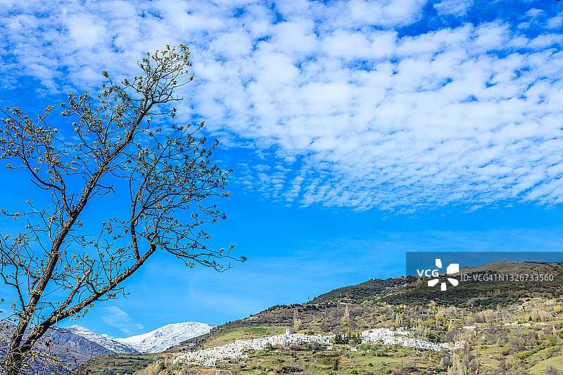 徒步前往特雷韦莱斯时看到的卡皮莱拉景色，安达卢西亚图片素材