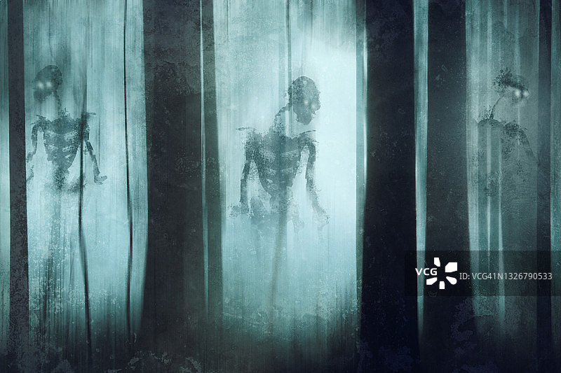 恐怖概念：森林迷雾中闪着光的骷髅图片素材