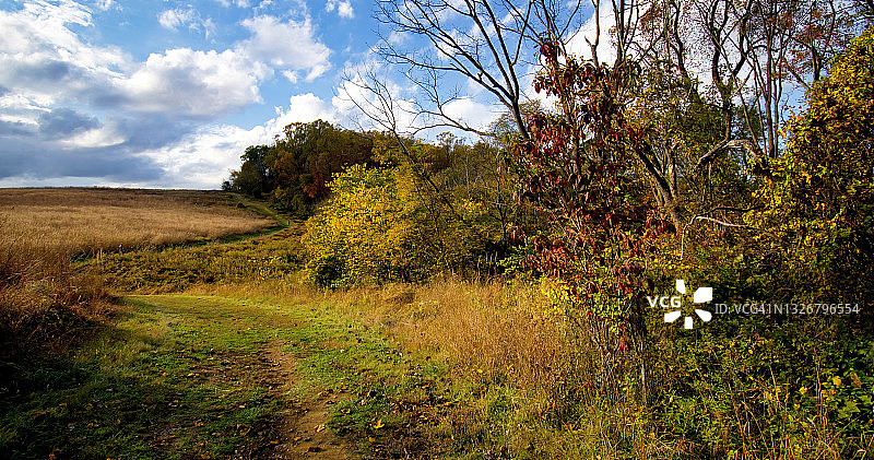 宾夕法尼亚州秋季草地图片素材
