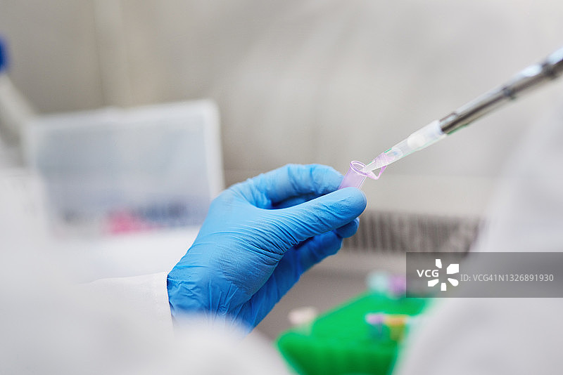 实验室工作人员用液体填充试管图片素材