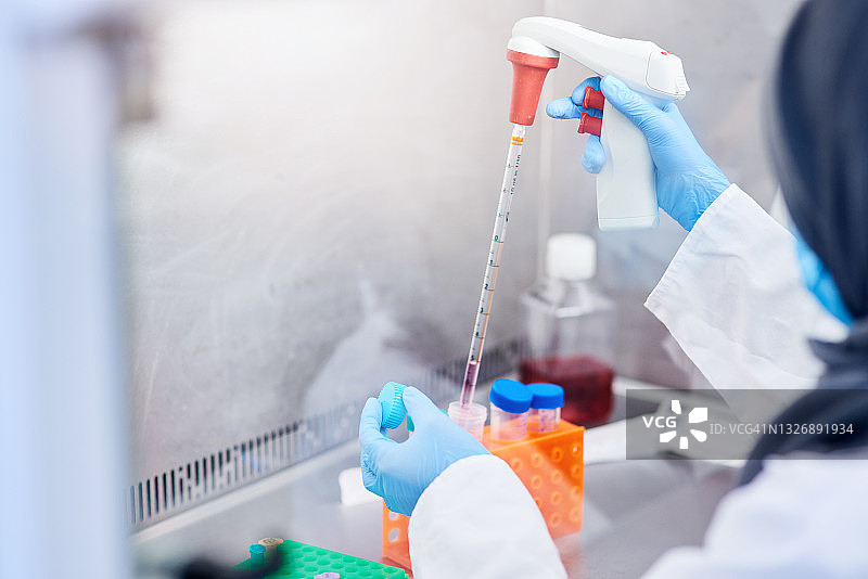 实验室技术员正在填充试管图片素材
