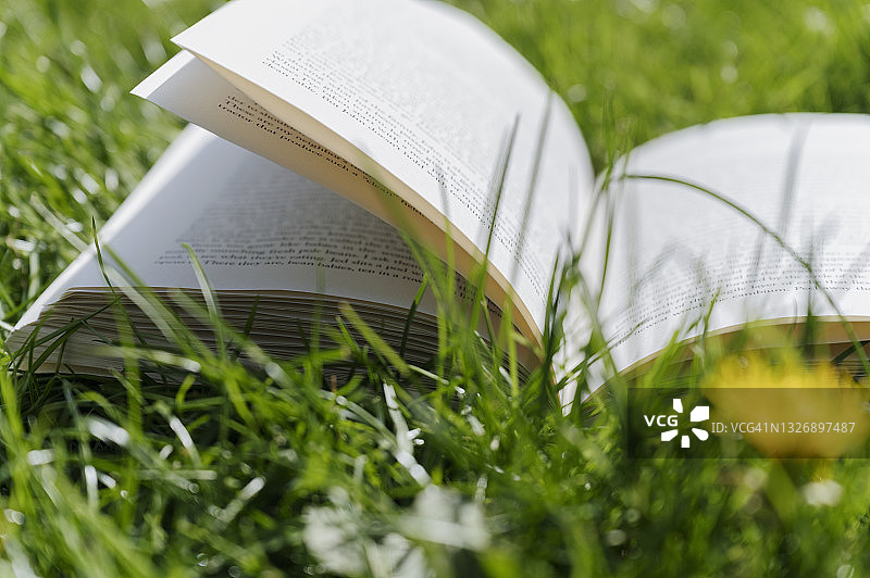 草地上的打开的书本特写图片素材