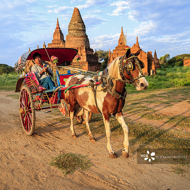 缅甸男子在缅甸蒲甘驾驶马车图片素材
