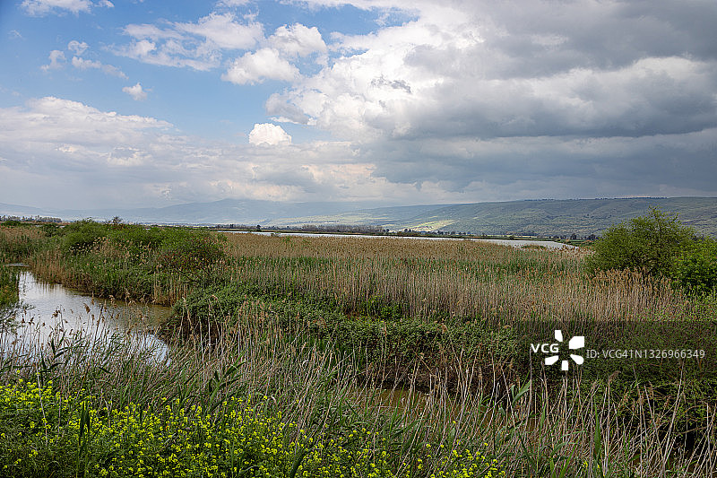 春天里的加利利田野图片素材