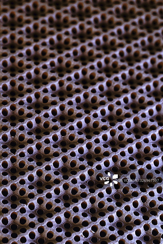 燃气灶图片素材