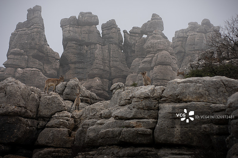 安特克拉山图片素材