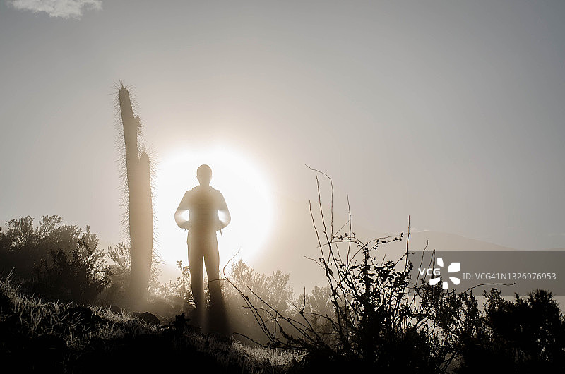 在山上游览图片素材