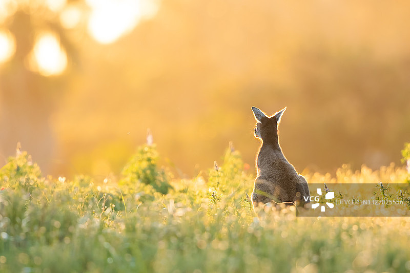 欣赏景色图片素材