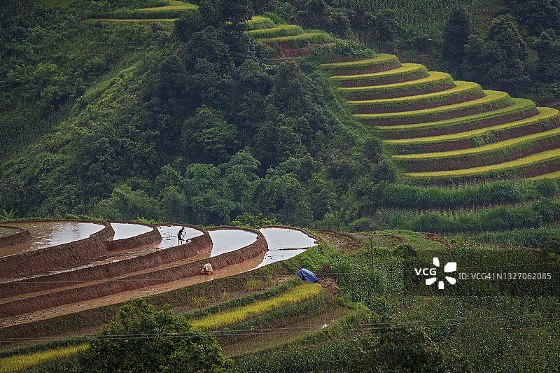 高地水季图片素材