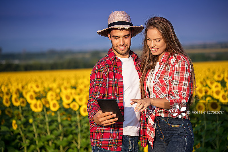 向日葵田里的年轻农民图片素材