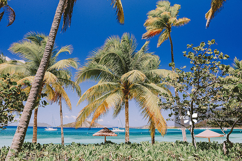 在英属维尔京群岛加勒比海的航海假期图片素材