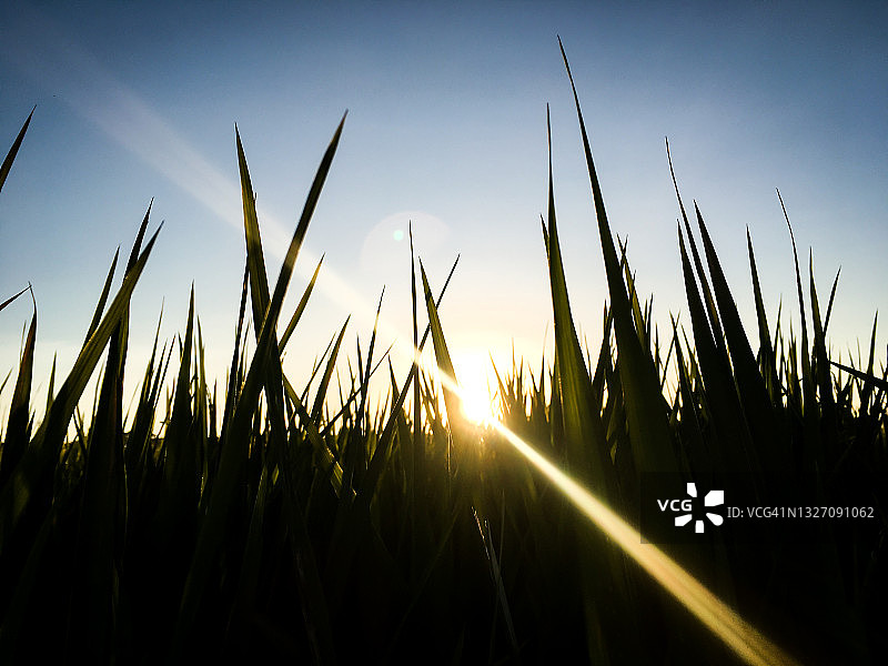 日落时分的暮色光芒图片素材