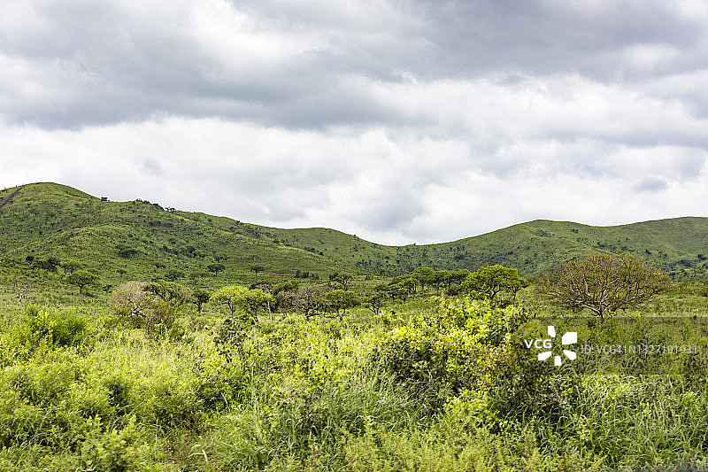 Hluhluwe-Umfolozi公园风光图片素材