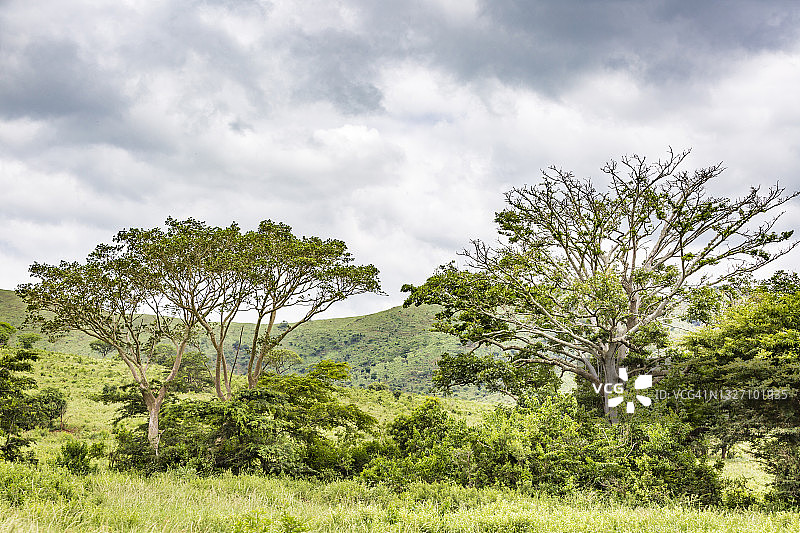 Hluhluwe-Umfolozi公园风光图片素材