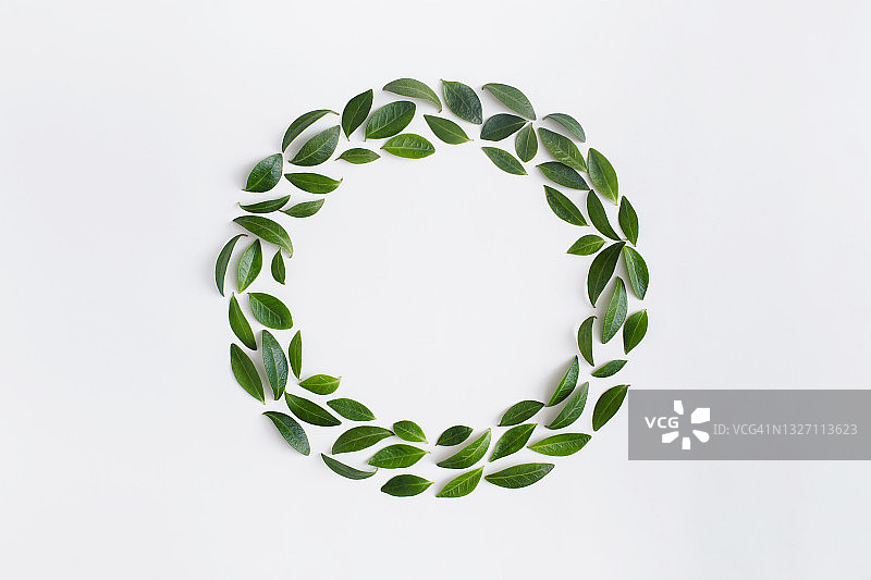 白色背景绿色树叶花环素材图片素材