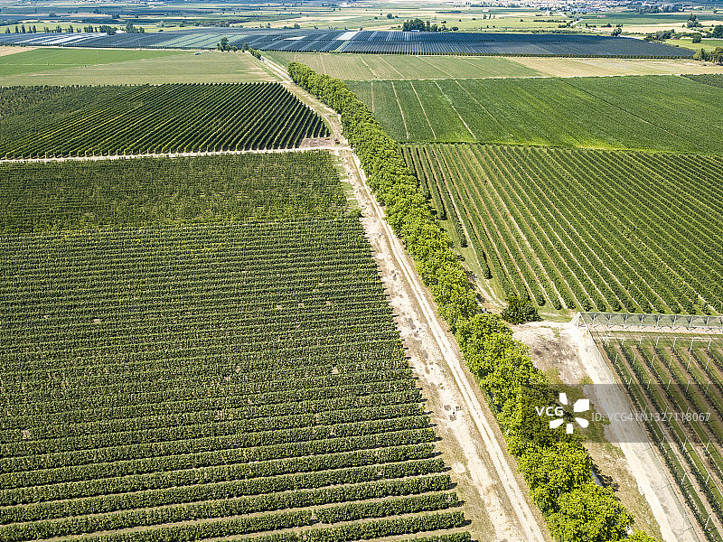 葡萄园航拍图片素材