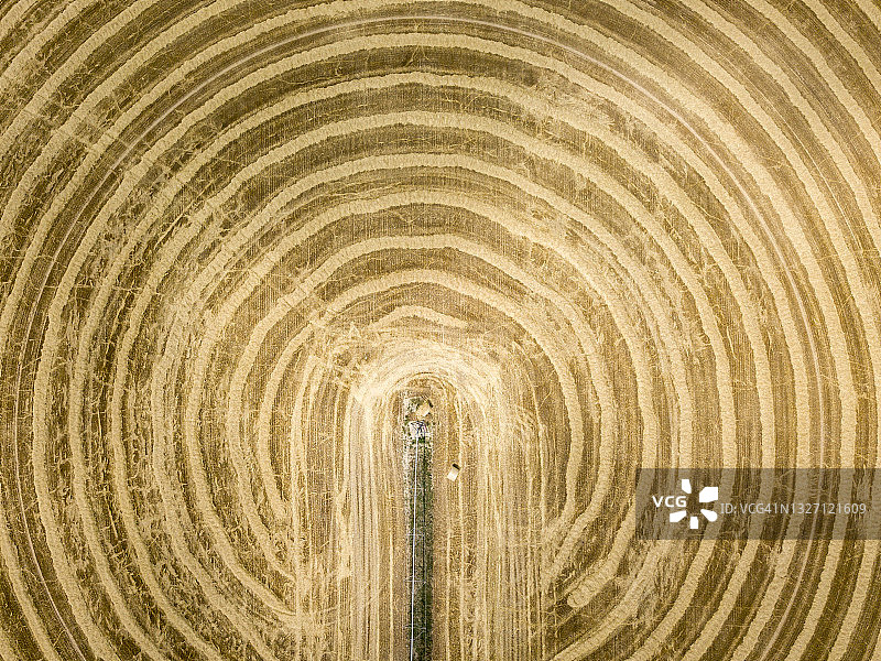 收割后的麦田图片素材