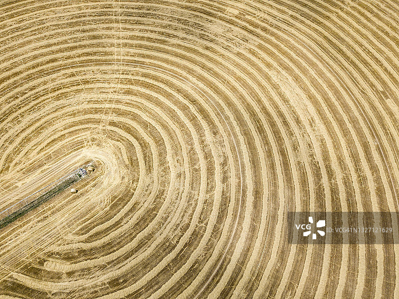 收割后的麦田图片素材