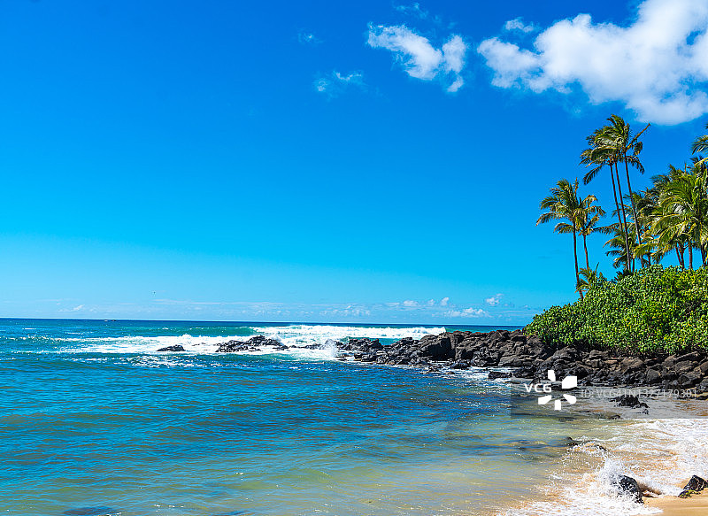 夏威夷海龟海滩图片素材