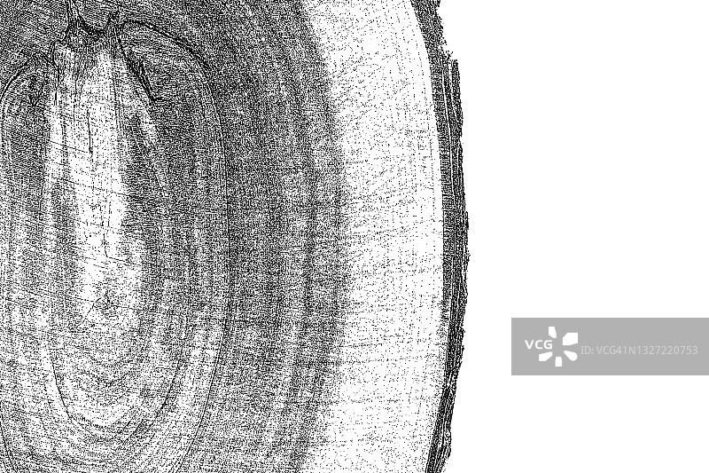 白色背景上的木材横截面图片素材